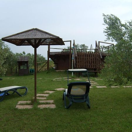 Agriturismo Il Forasacco Grosseto Kültér fotó
