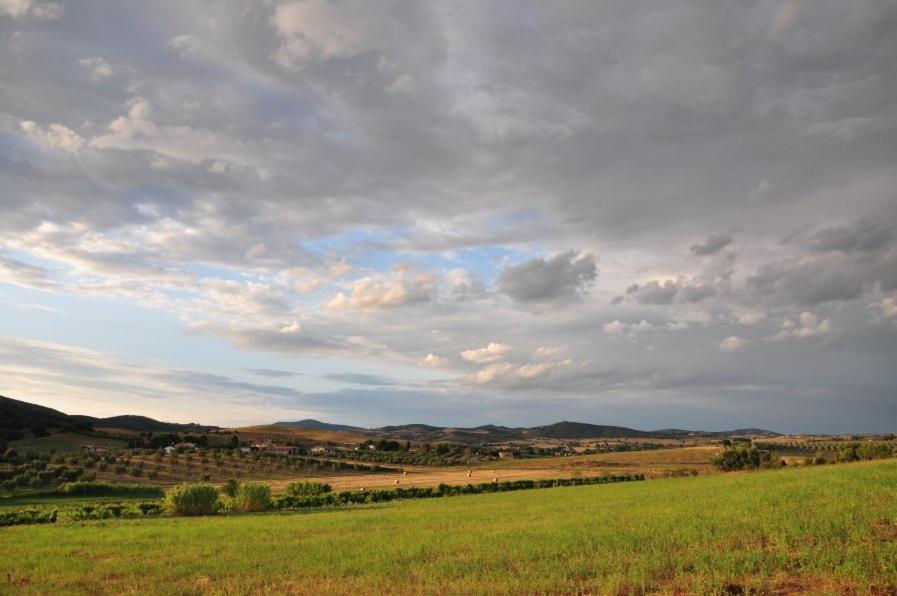 Agriturismo Il Forasacco Grosseto Kültér fotó