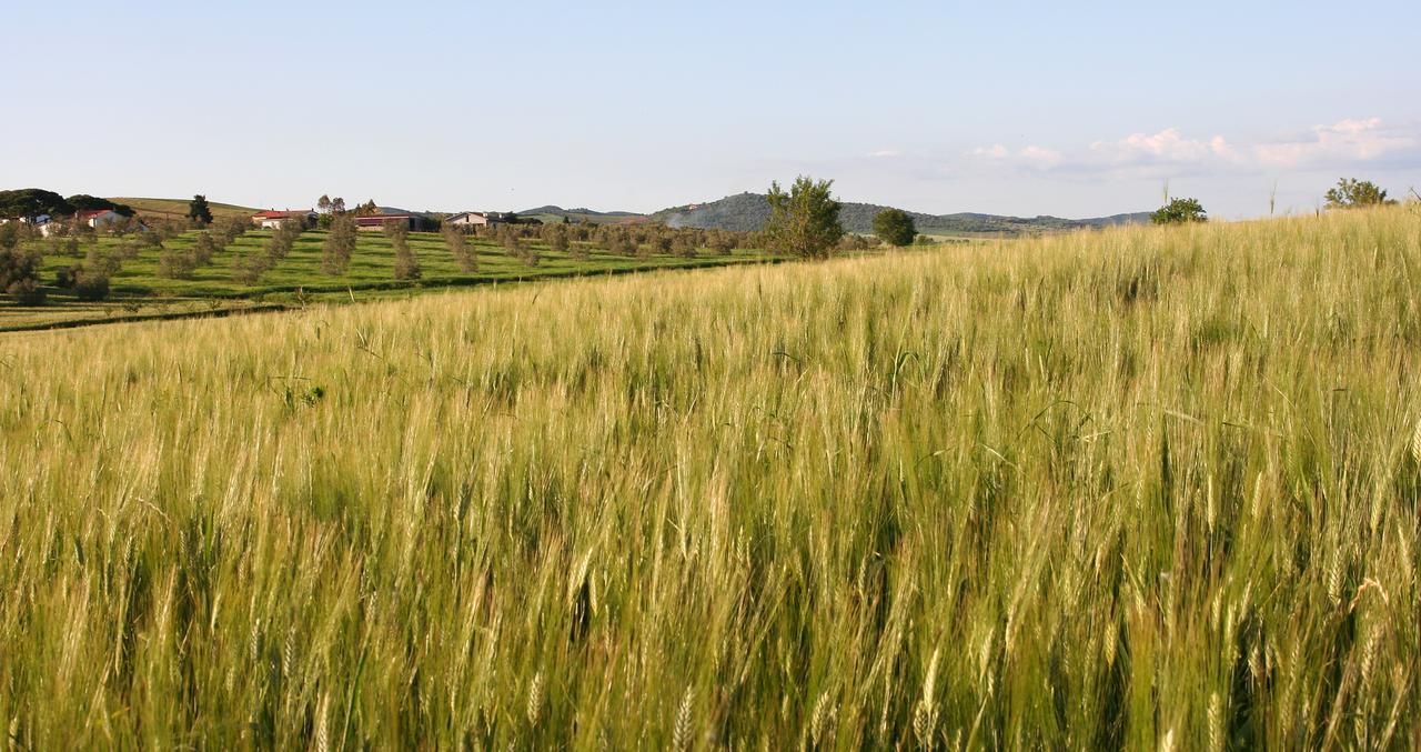 Agriturismo Il Forasacco Grosseto Kültér fotó