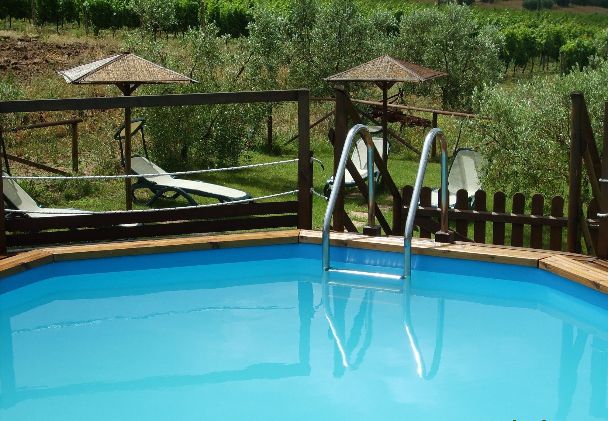Agriturismo Il Forasacco Grosseto Kültér fotó